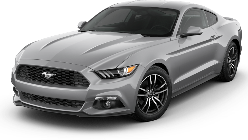 botanical wonder pill